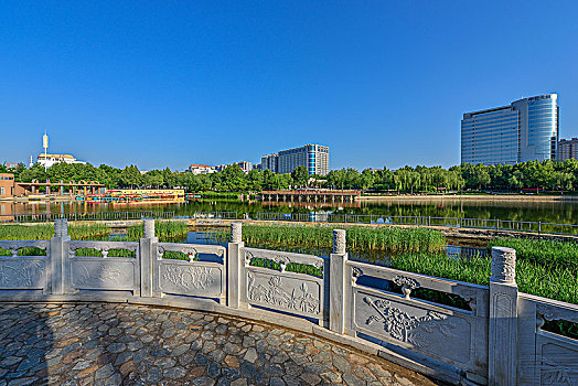 rong bạch kim 888