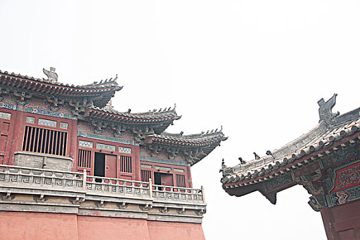 bạch thủ 3 càng