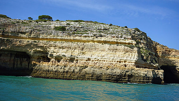 cau lo de