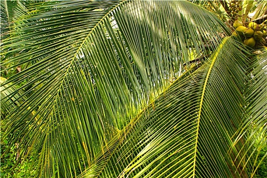 soi cầu dự đoán xổ số đại phát