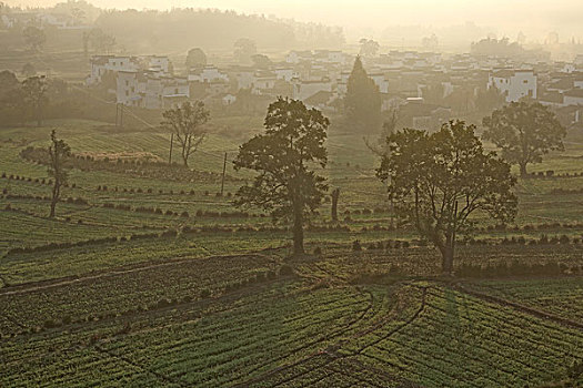 soi cau sieu chuan mb