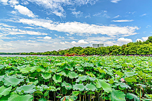 thong ke xs ha noi