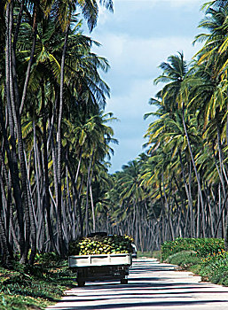 kqxs ca mau
