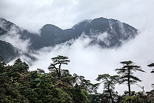 du doan chinh xac 100