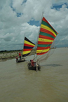 soi lo bach thu