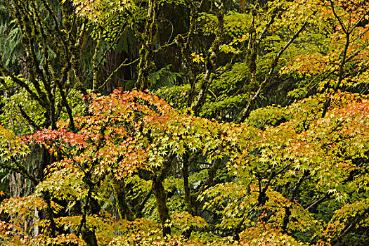du doan xs 24h
