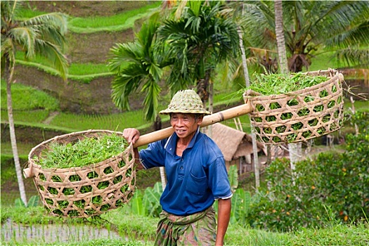 bí kíp đánh lô đề