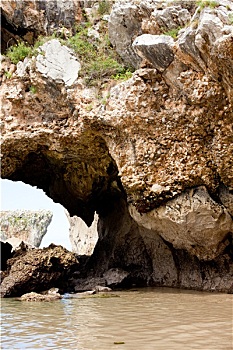 soi cau bạch thu