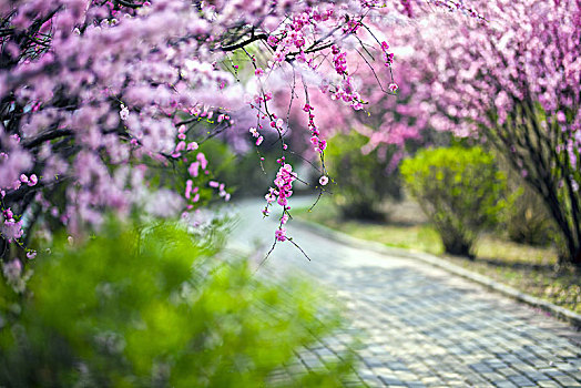 chỉ cách đánh đề
