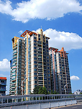 soi cau dan nguyen