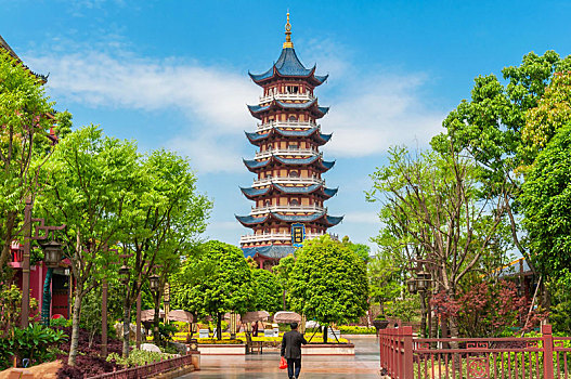 soi cau chinh xac 100