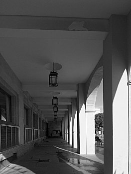 bạch thủ lô chuẩn