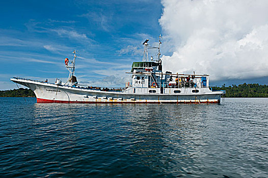 soi cầu tuấn vũ 668