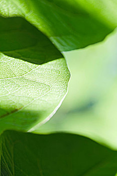 cách đánh lô hiệu quả