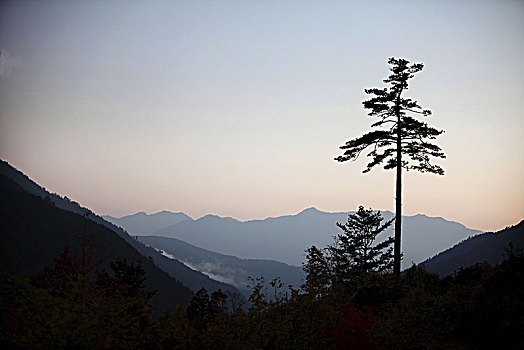 du doan dau duoi mien bac