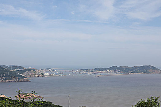 cau soi