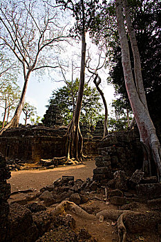 soi cau de bach thu hom nay